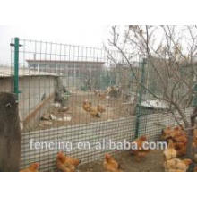 Chain Link Wire poultry Fencing
